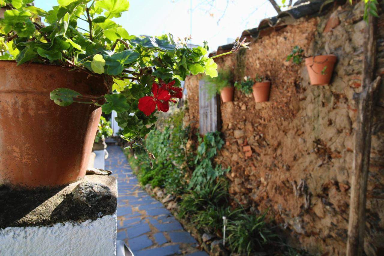 Las Casas De La Tia Sabina - Only Adults By Sierra Viva Cortelazor Exterior photo